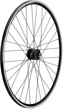 Delux + CXP Pro + Sapim Race 28" Laufrad