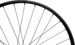 Tune Race 23 Boost Disc 6-Loch 29" Laufradsatz 14 Tune Race 23 Boost Disc 6-Loch 29" Laufradsatz -Shimano Verkäufe 342174