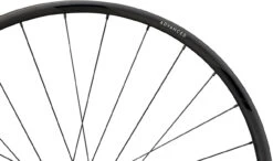 Newmen Advanced SL X.R.25 FADE Disc Center Lock Carbon 28" Laufradsatz -Shimano Verkäufe 387559