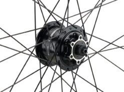 Mountain Alivio Disc 6-Loch DT Swiss 466d 29" Laufradsatz -Shimano Verkäufe 399626