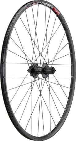 Mountain Alivio Disc 6-Loch DT Swiss 466d 29" Laufradsatz -Shimano Verkäufe 399627