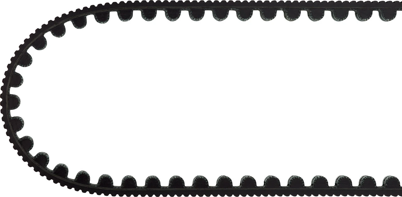 Gates CDX Riemen 6 Gates CDX Riemen – Bild 6