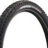 MAXXIS Dissector 3C MaxxTerra EXO+ WT TR 29" Faltreifen