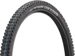 Schwalbe Wicked Will Evolution ADDIX SpeedGrip Super Ground 29" Faltreifen -Shimano Verkäufe 474182